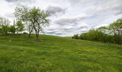 Photo #56 of TBD VETTERS RD, TIMBERVILLE, VA 5.0 acres