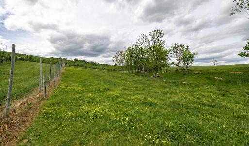 Photo #59 of TBD VETTERS RD, TIMBERVILLE, VA 5.0 acres