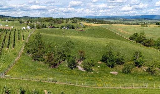 Photo #34 of TBD VETTERS RD, TIMBERVILLE, VA 5.0 acres