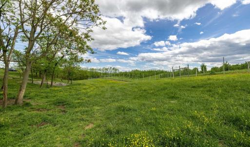 Photo #64 of TBD VETTERS RD, TIMBERVILLE, VA 5.0 acres