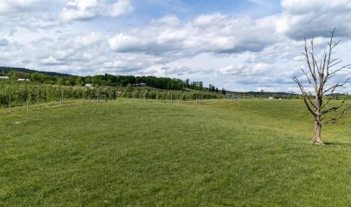 Photo #40 of TBD VETTERS RD, TIMBERVILLE, VA 5.0 acres