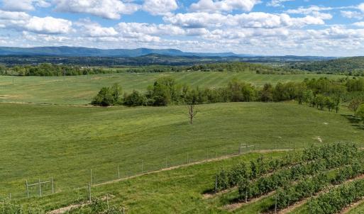 Photo #29 of TBD VETTERS RD, TIMBERVILLE, VA 5.0 acres