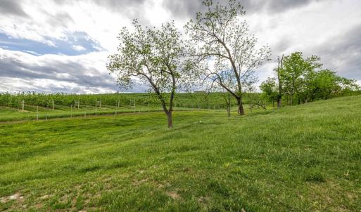 Photo #55 of TBD VETTERS RD, TIMBERVILLE, VA 5.0 acres