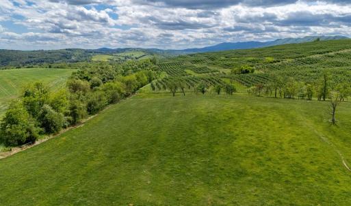 Photo #25 of TBD VETTERS RD, TIMBERVILLE, VA 5.0 acres