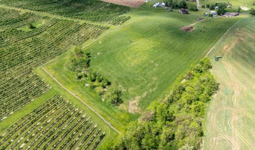 Photo #2 of TBD VETTERS RD, TIMBERVILLE, VA 5.0 acres