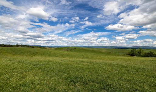 Photo #52 of TBD VETTERS RD, TIMBERVILLE, VA 5.0 acres