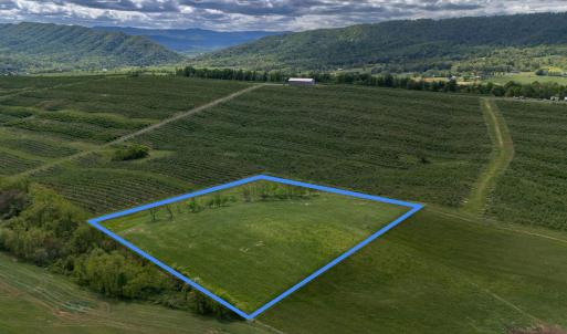 Photo #21 of TBD VETTERS RD, TIMBERVILLE, VA 5.0 acres