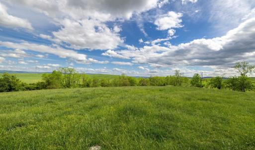 Photo #70 of TBD VETTERS RD, TIMBERVILLE, VA 5.0 acres