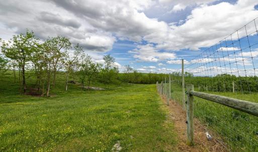 Photo #62 of TBD VETTERS RD, TIMBERVILLE, VA 5.0 acres