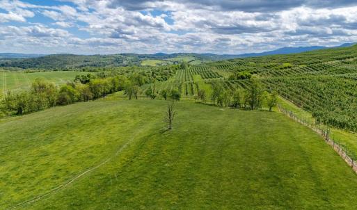 Photo #26 of TBD VETTERS RD, TIMBERVILLE, VA 5.0 acres