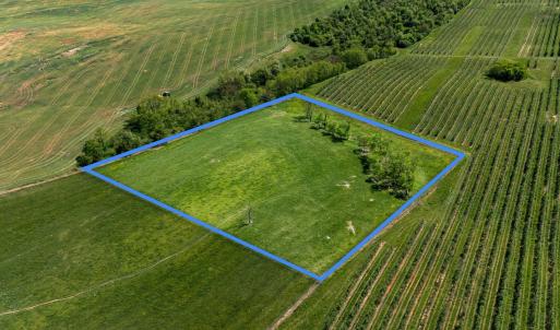 Photo #6 of TBD VETTERS RD, TIMBERVILLE, VA 5.0 acres