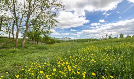 Photo #63 of TBD VETTERS RD, TIMBERVILLE, VA 5.0 acres