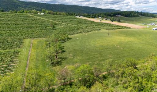 Photo #37 of TBD VETTERS RD, TIMBERVILLE, VA 5.0 acres