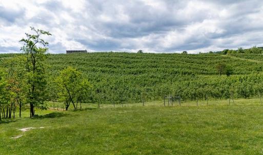 Photo #41 of TBD VETTERS RD, TIMBERVILLE, VA 5.0 acres