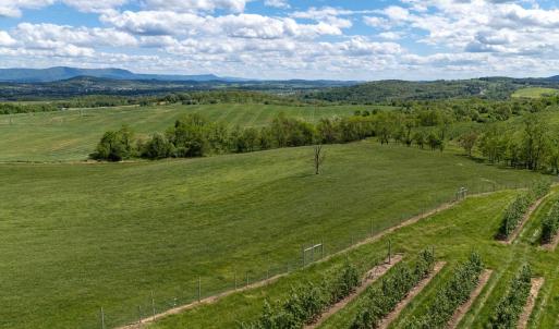 Photo #28 of TBD VETTERS RD, TIMBERVILLE, VA 5.0 acres