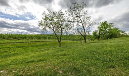 Photo #54 of TBD VETTERS RD, TIMBERVILLE, VA 5.0 acres