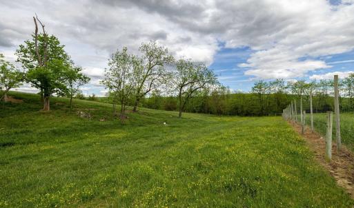 Photo #58 of TBD VETTERS RD, TIMBERVILLE, VA 5.0 acres