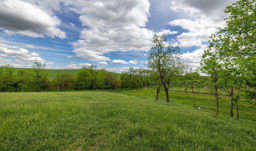 Photo #53 of TBD VETTERS RD, TIMBERVILLE, VA 5.0 acres