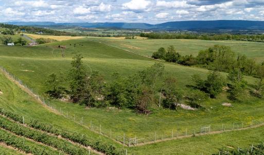 Photo #33 of TBD VETTERS RD, TIMBERVILLE, VA 5.0 acres