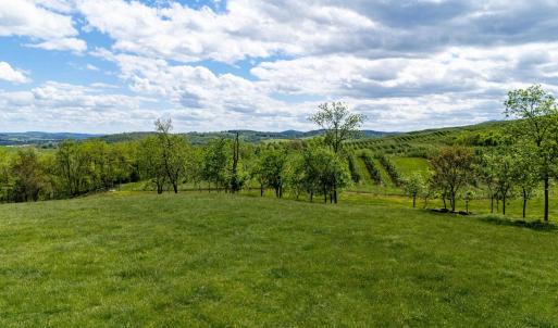 Photo #42 of TBD VETTERS RD, TIMBERVILLE, VA 5.0 acres