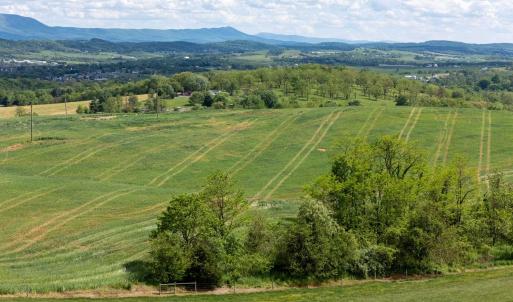 Photo #27 of TBD VETTERS RD, TIMBERVILLE, VA 5.0 acres