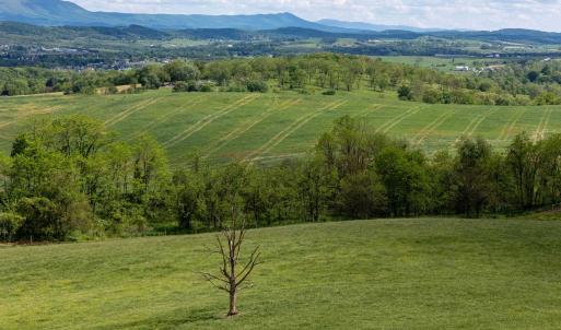 Photo #30 of TBD VETTERS RD, TIMBERVILLE, VA 5.0 acres