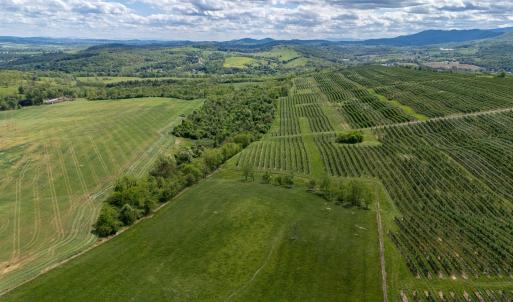 Photo #19 of TBD VETTERS RD, TIMBERVILLE, VA 5.0 acres