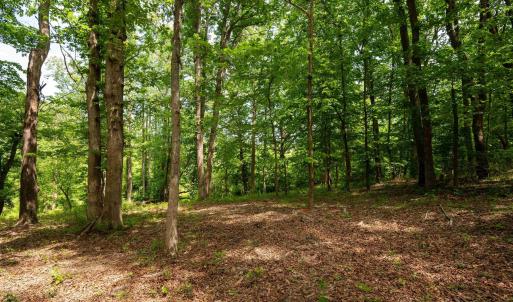 Photo #15 of TBD HALF MILE BRANCH RD, CROZET, VA 3.0 acres