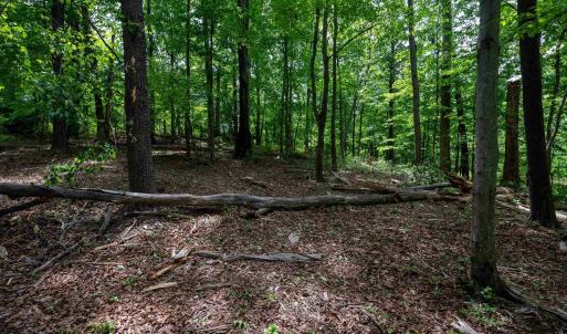 Photo #16 of TBD HALF MILE BRANCH RD, CROZET, VA 3.0 acres