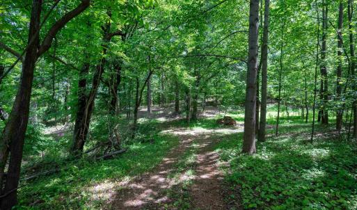 Photo #4 of TBD HALF MILE BRANCH RD, CROZET, VA 3.0 acres