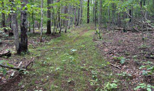 Photo #2 of TBD RABBIT VALLEY RD, NORTH GARDEN, VA 58.5 acres