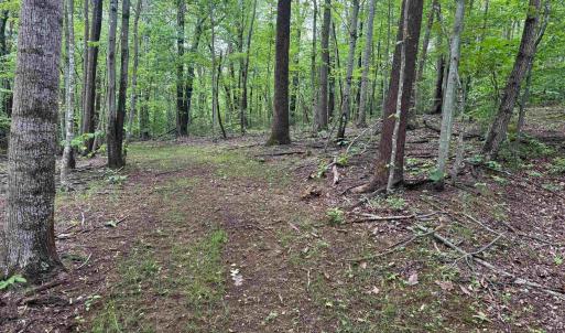 Photo #3 of TBD RABBIT VALLEY RD, NORTH GARDEN, VA 58.5 acres
