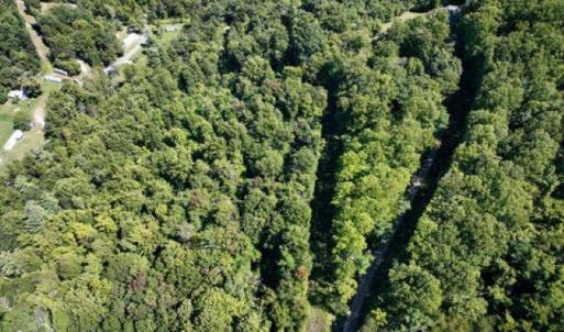 Photo #26 of TBD OVERLOOK MOUNTAIN RD, ELKTON, VA 6.7 acres