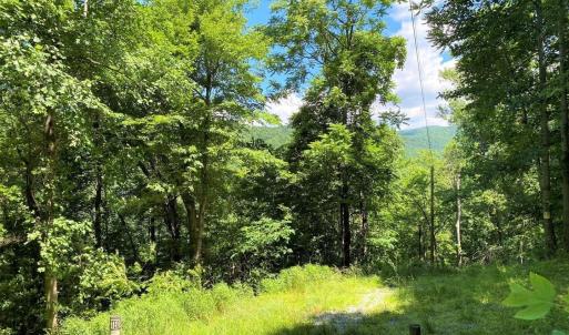 Photo #7 of TBD OVERLOOK MOUNTAIN RD, ELKTON, VA 6.7 acres
