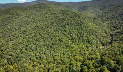 Photo #23 of TBD OVERLOOK MOUNTAIN RD, ELKTON, VA 6.7 acres