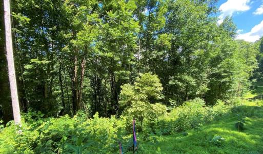 Photo #4 of TBD OVERLOOK MOUNTAIN RD, ELKTON, VA 6.7 acres