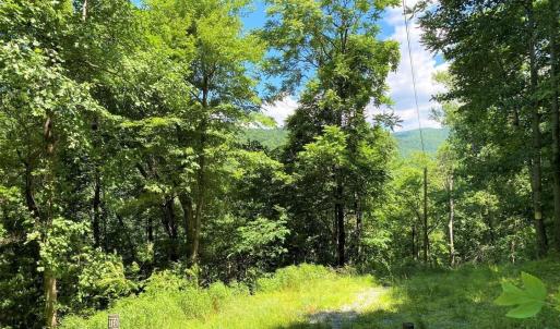 Photo #10 of TBD OVERLOOK MOUNTAIN RD, ELKTON, VA 6.7 acres