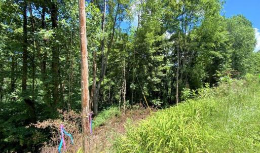 Photo #3 of TBD OVERLOOK MOUNTAIN RD, ELKTON, VA 6.7 acres