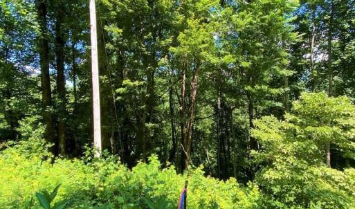 Photo #6 of TBD OVERLOOK MOUNTAIN RD, ELKTON, VA 6.7 acres