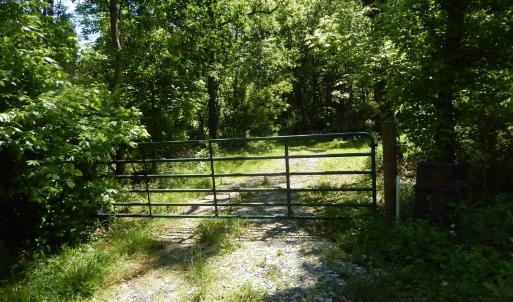 Photo #2 of MT PARAN CHURCH RD, ELKTON, VA 8.2 acres