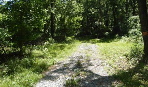 Photo #6 of MT PARAN CHURCH RD, ELKTON, VA 8.2 acres