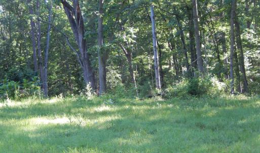 Photo #9 of MT PARAN CHURCH RD, ELKTON, VA 8.2 acres