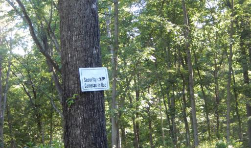 Photo #5 of MT PARAN CHURCH RD, ELKTON, VA 8.2 acres