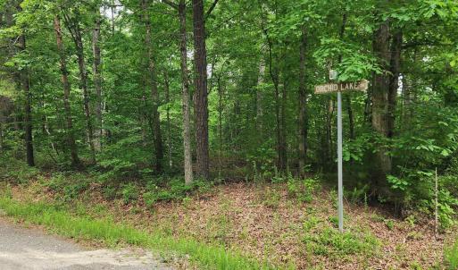Photo #6 of G2 ORCHID LAKE DR, GUM SPRING, VA 0.2 acres