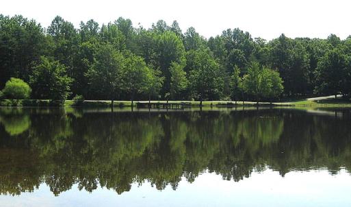Photo #16 of G2 ORCHID LAKE DR, GUM SPRING, VA 0.2 acres