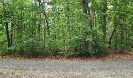 Photo #2 of G2 ORCHID LAKE DR, GUM SPRING, VA 0.2 acres