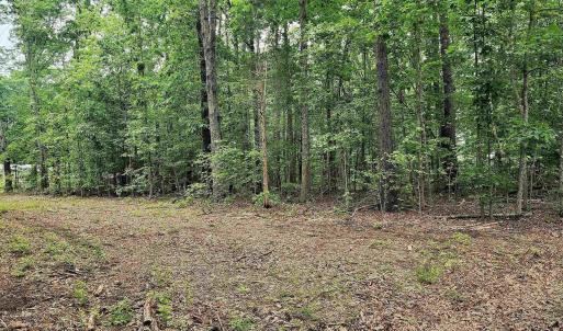 Photo #2 of G3 ORCHID LAKE DR, GUM SPRING, VA 0.2 acres