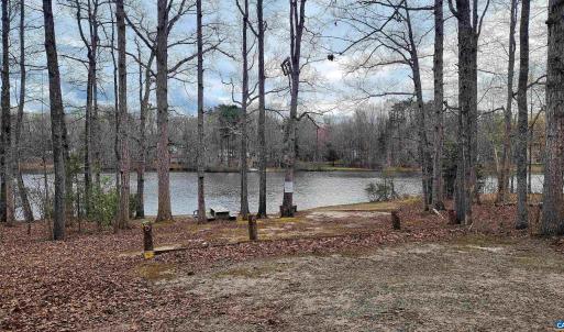 Photo #6 of G3 ORCHID LAKE DR, GUM SPRING, VA 0.2 acres
