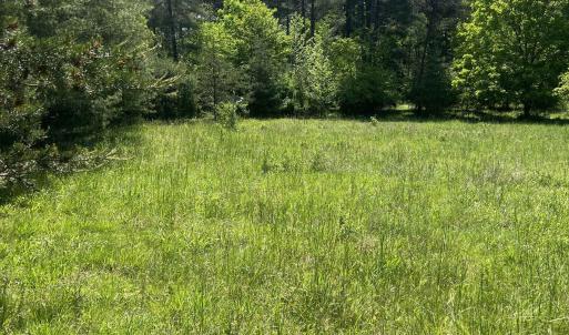 Photo #1 of 15128 HIGHLAND TPKE, HEADWATERS, VA 5.0 acres