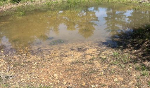 Photo #4 of 15128 HIGHLAND TPKE, HEADWATERS, VA 5.0 acres
